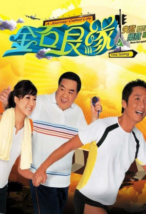 A Journey Called Life (2008)